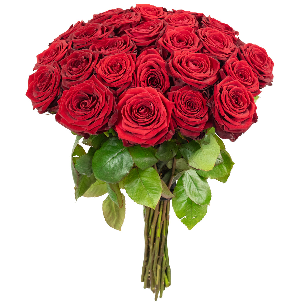 Blumenstrauß  'Red Passion'  - Länge ca. 50 cm - Strauß frischer roter Rosen