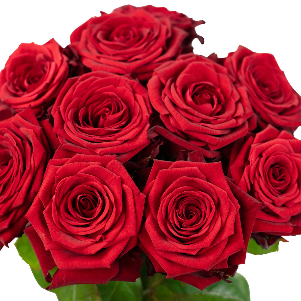 Blumenstrauß  'Red Passion'  - Länge ca. 50 cm - Strauß frischer roter Rosen