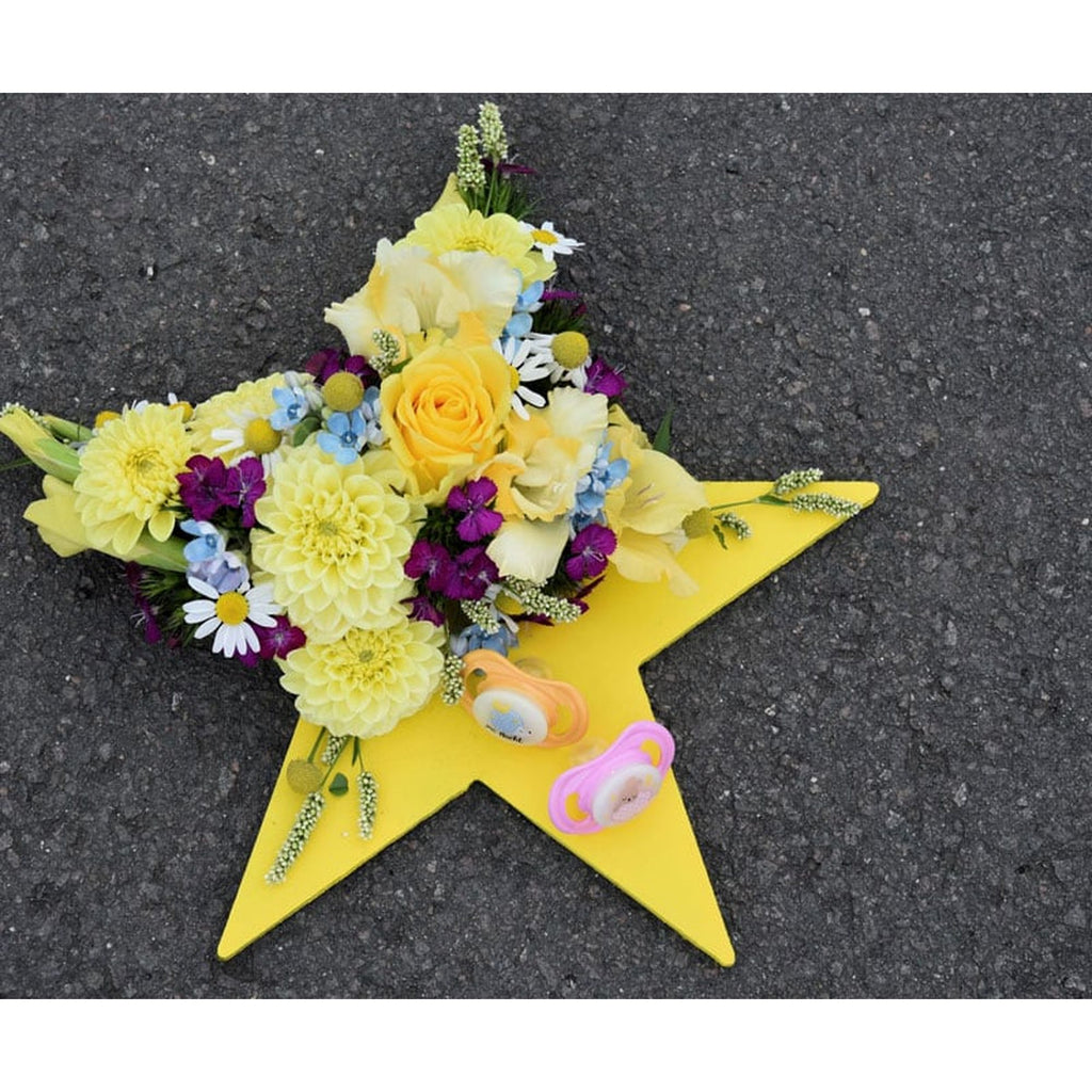 OASIS® BLACK BIOLINE® Crea Star - 2 pieces - 29 x 30 x 4.5 cm