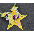 OASIS® BLACK BIOLINE® Crea Star - 2 pieces - 29 x 30 x 4.5 cm