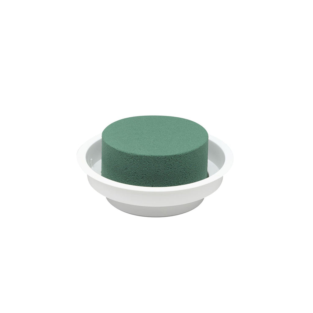 OASIS® Junior Complete - 5 x 12cm Ø - 12 St. - weiß