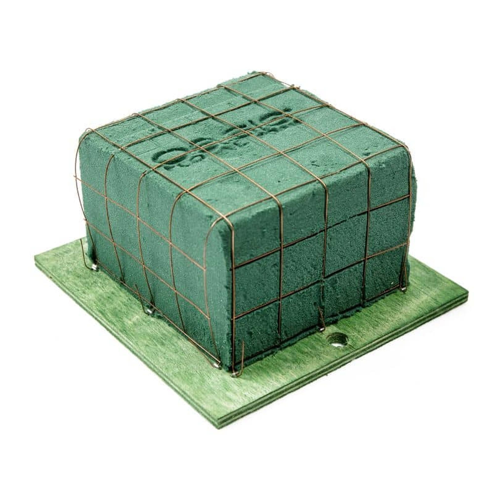 Assiette décorative OASIS® BIOLINE® Mini - 15 x 15,5 x 8 cm - 1 pièce