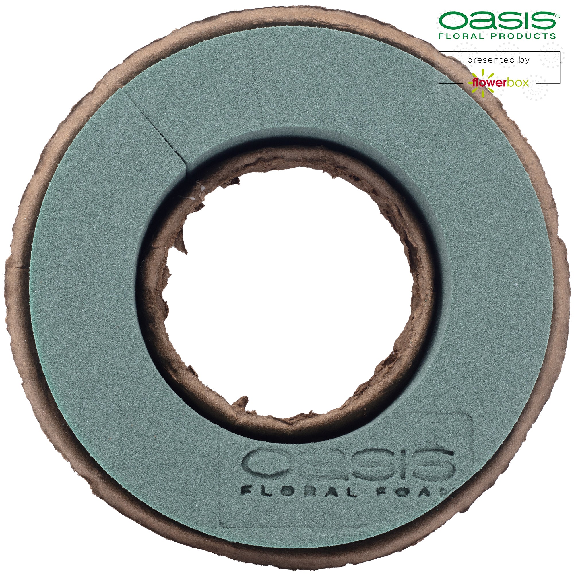 OASIS® BIOLIT® ring - 3.5 x 17cm Ø - inside: 9.6cm Ø - 6 pcs.
