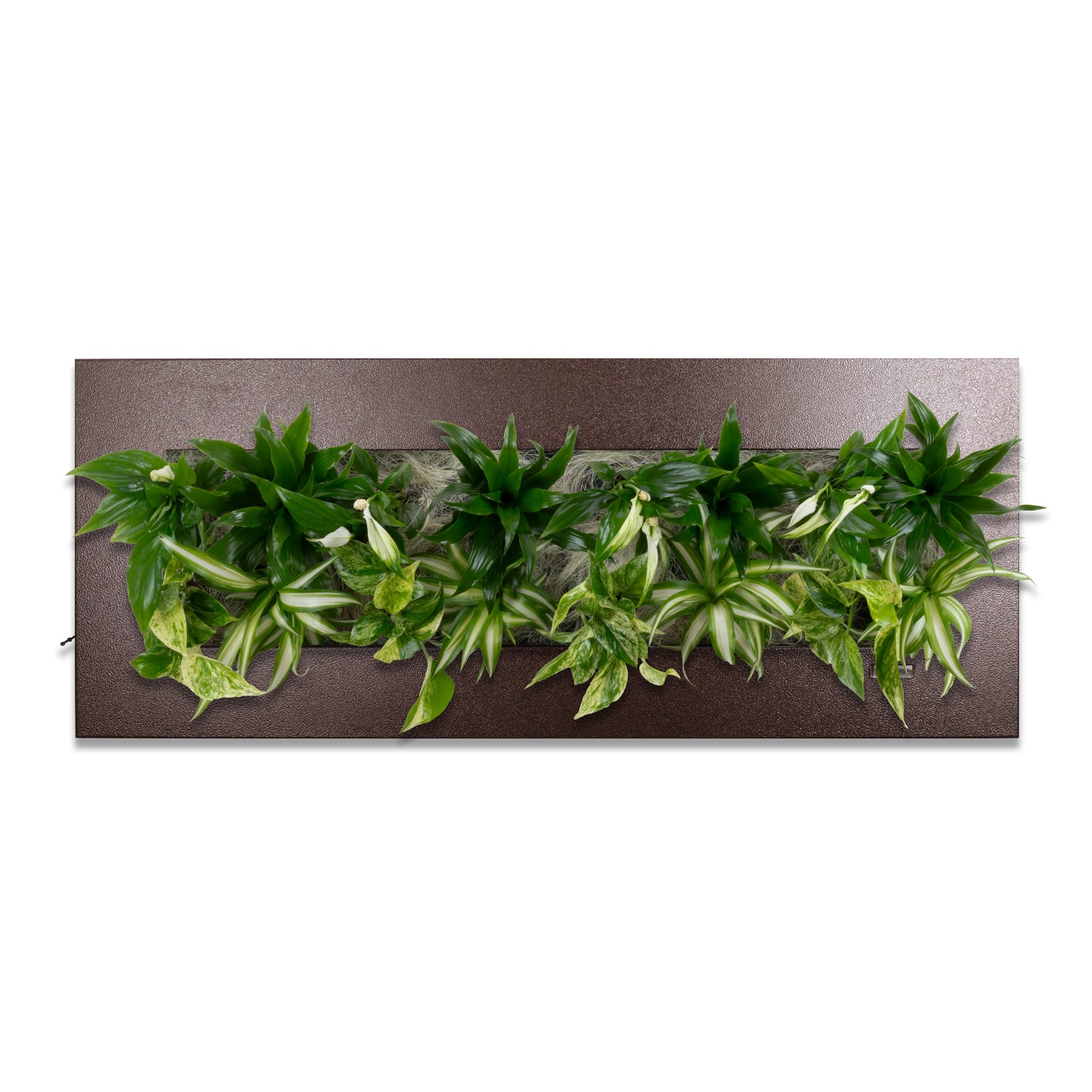 Flowerwall L - Métal marron premium - 89 x 33 cm