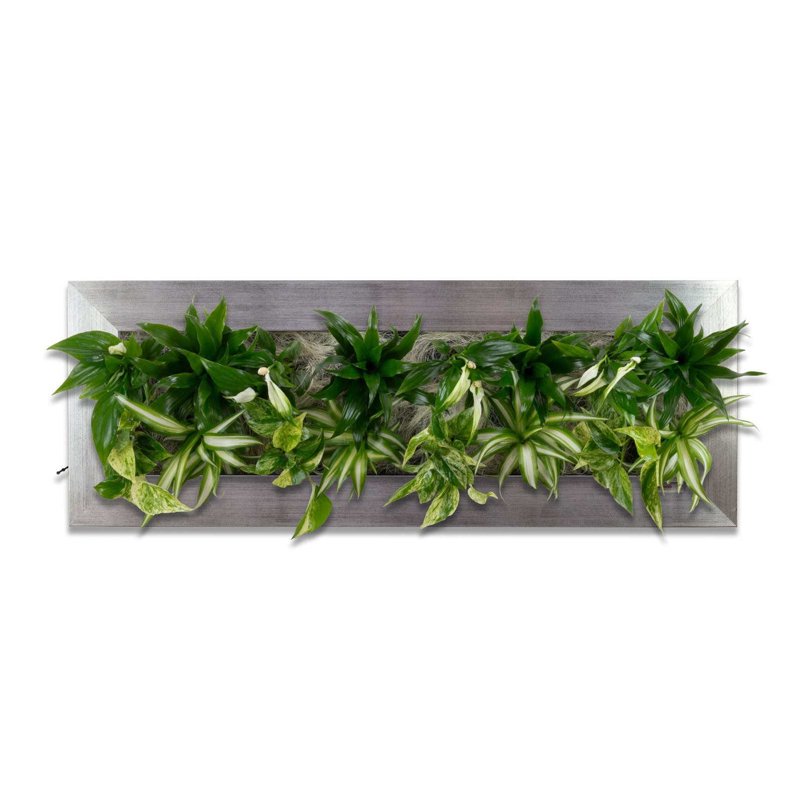 Flowerwall L - alu - 89x33 cm