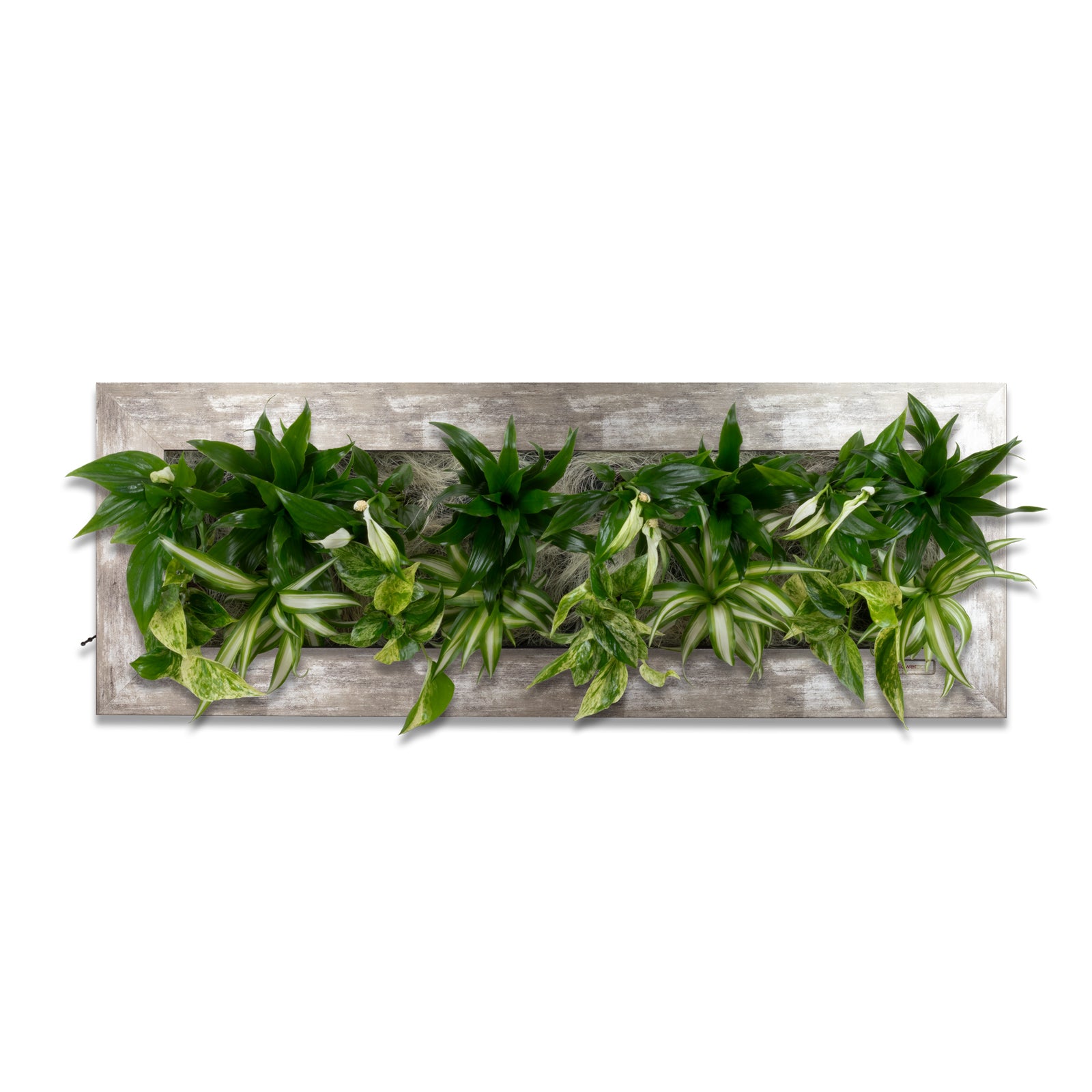 Flowerwall L - aluminium vintage - 89 x 33 cm