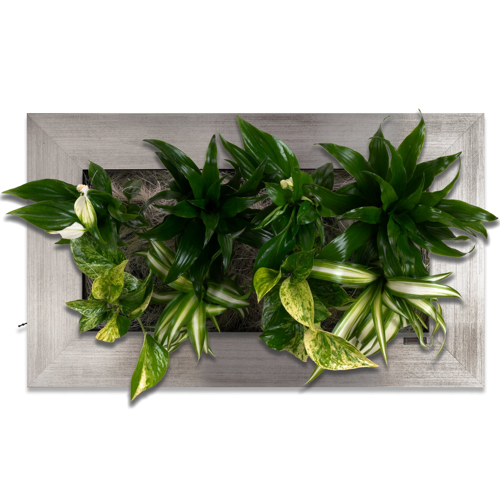 Flowerwall M - aluminium - 55 x 33 cm