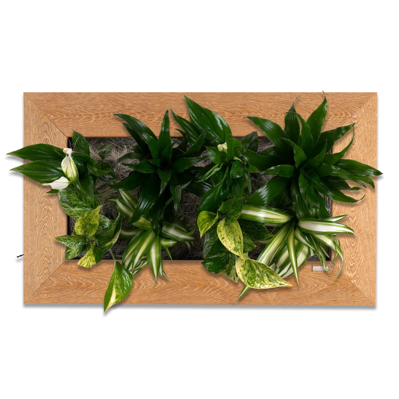 Flowerwall M - bois naturel - 55 x 33 cm