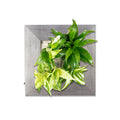 Flowerwall S - alu - 31x31 cm