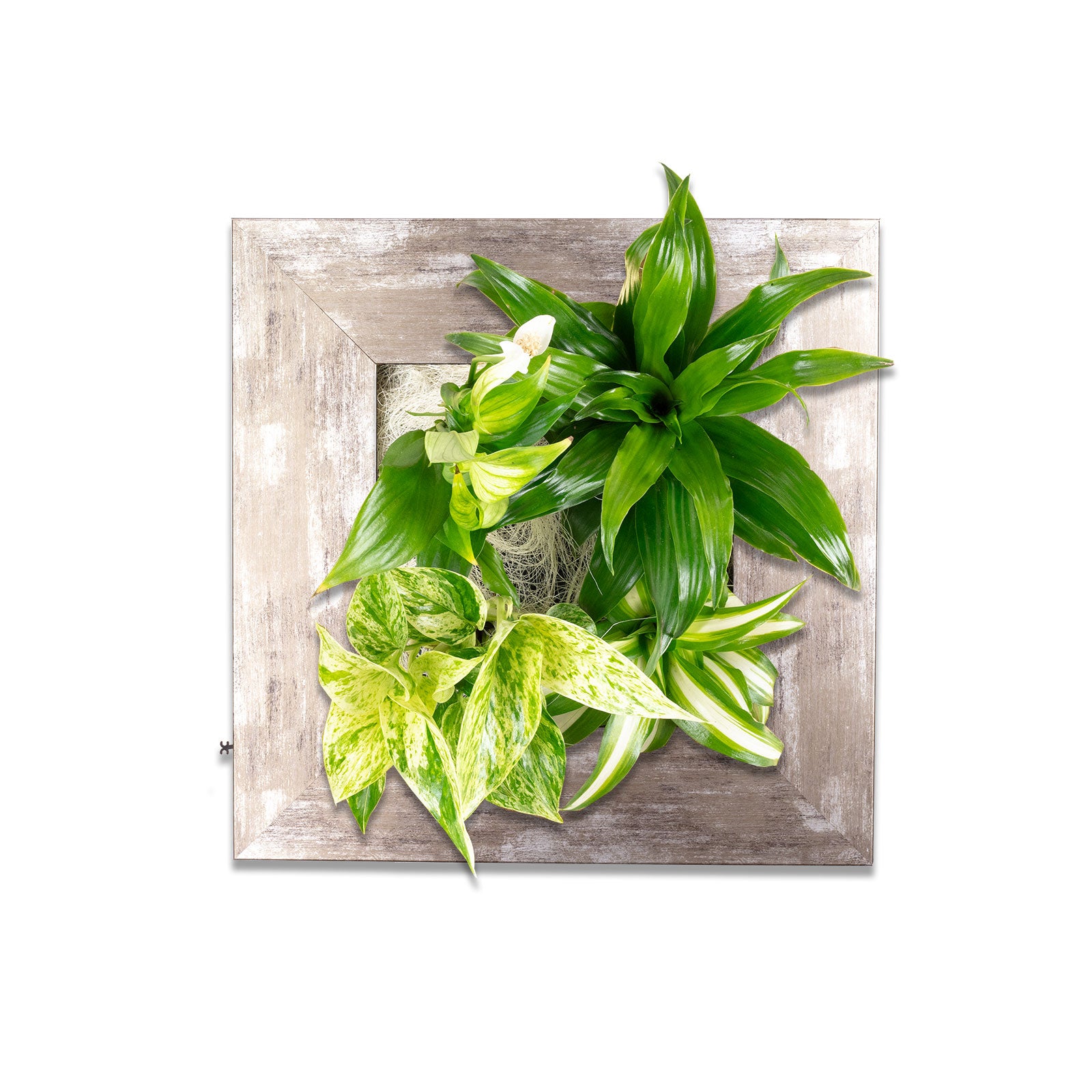 Flowerwall S - aluminium vintage - 31x31 cm