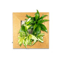 Flowerwall S - holz natur - 31x31 cm