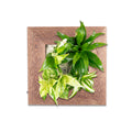 Flowerwall S - dark brown wood - 31x31 cm