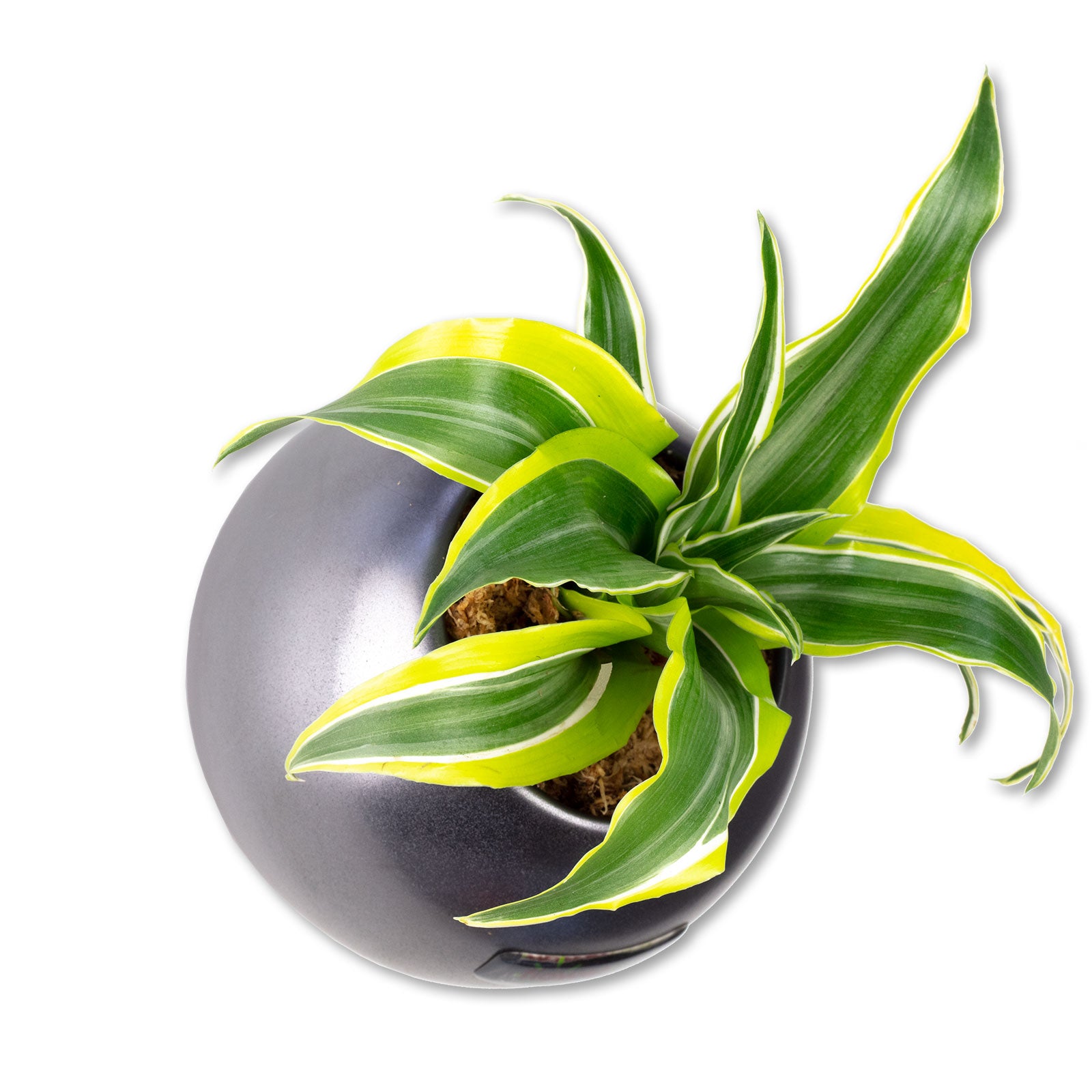Ball - anthracite - 12x12 cm