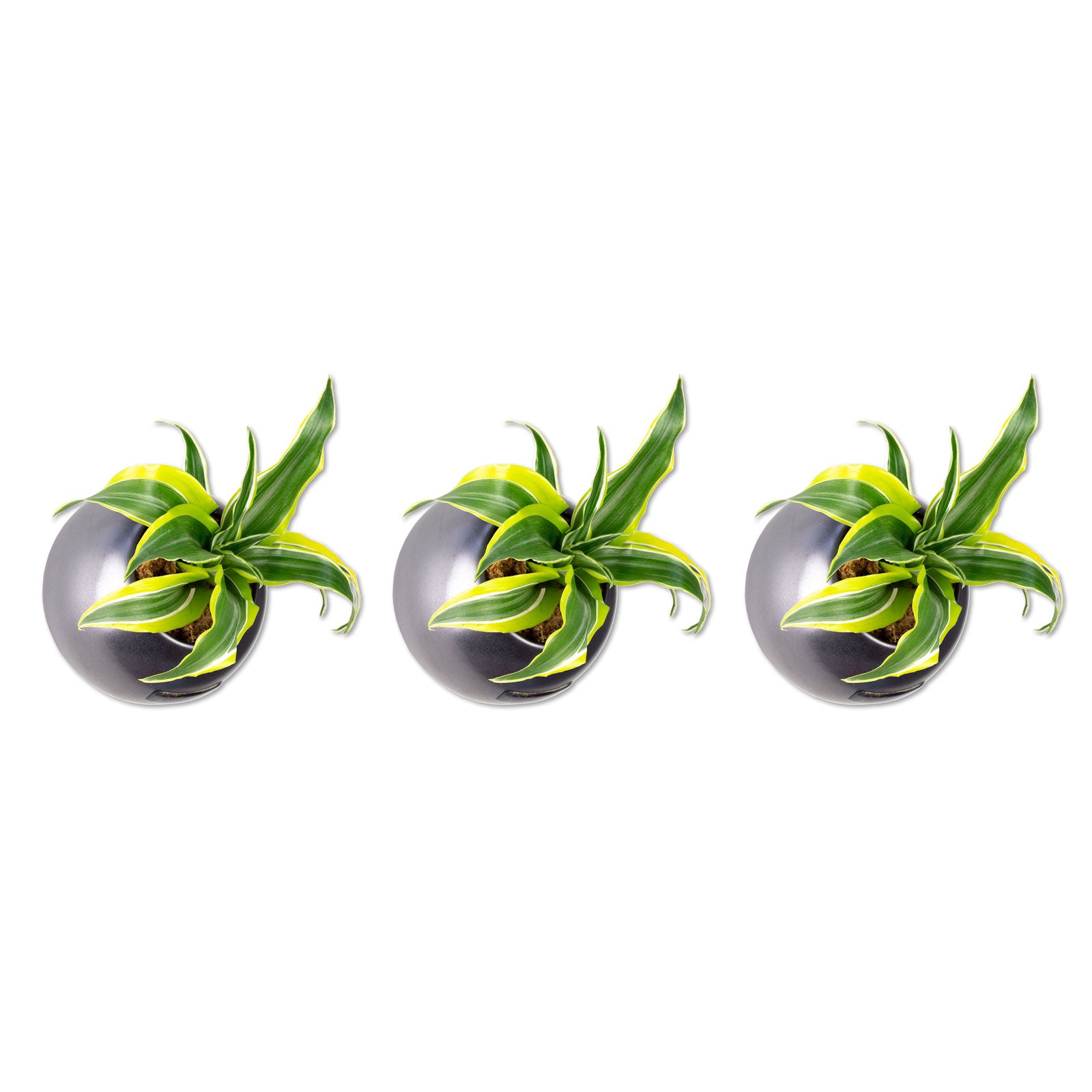 3er-Set Ball - anthrazit - 12x12 cm