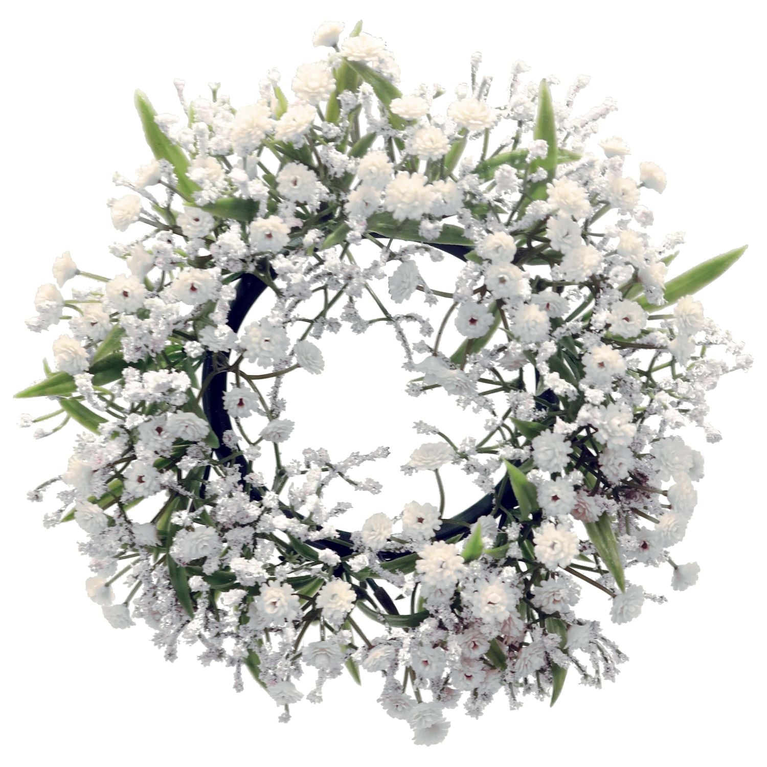 Gypsophila Muralis - wreath white - 7 cm