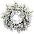 Gypsophila Muralis - couronne blanche - 12 cm