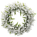 Gypsophila Muralis - couronne blanche - 17 cm