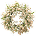 Gypsophila Muralis - couronne rose - 12 cm