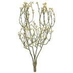 (Best) Mini star flower bush - white - 44 cm