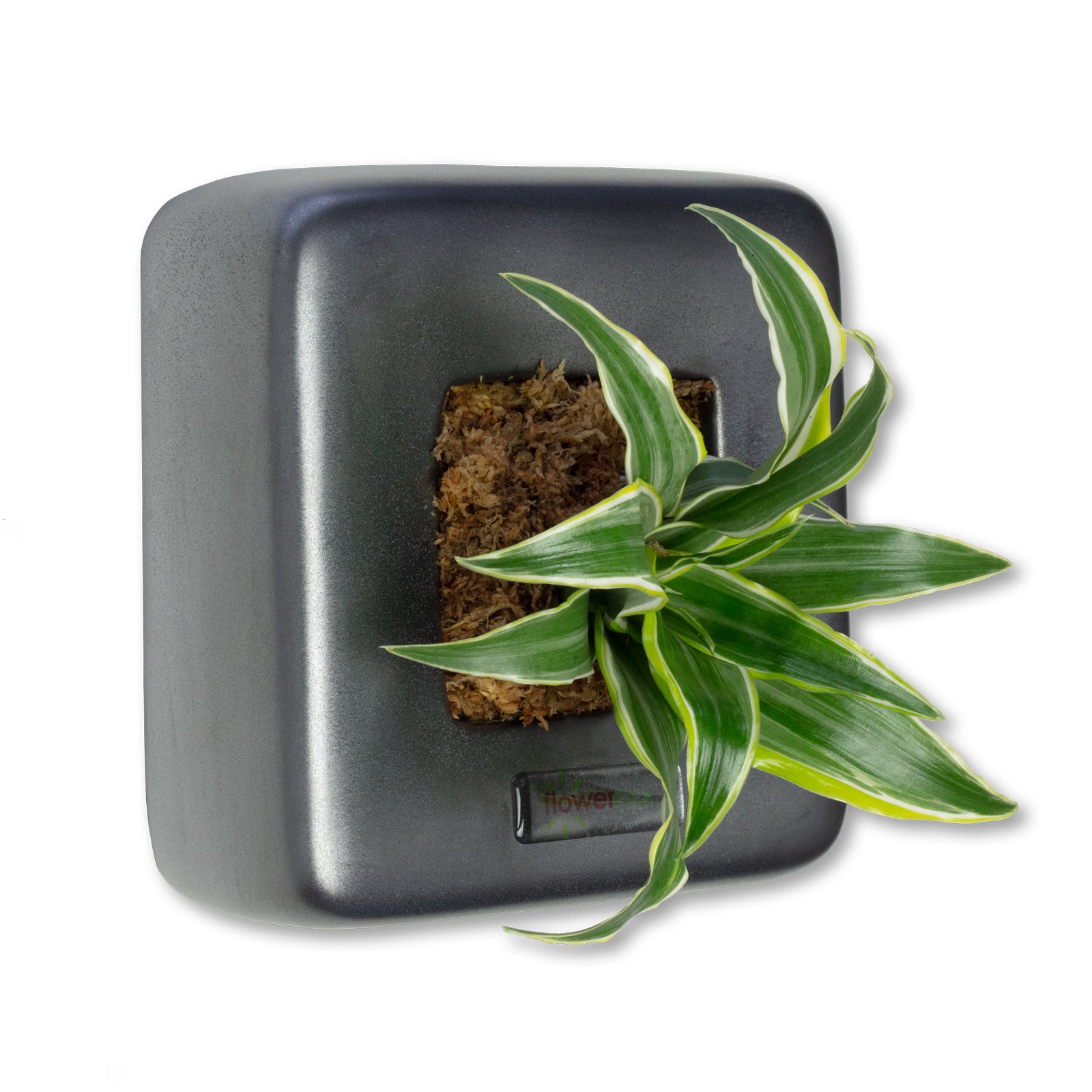 Box 1 - anthracite - 16x16 cm