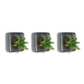3er-Set Box 1 - anthrazit - 16x16 cm