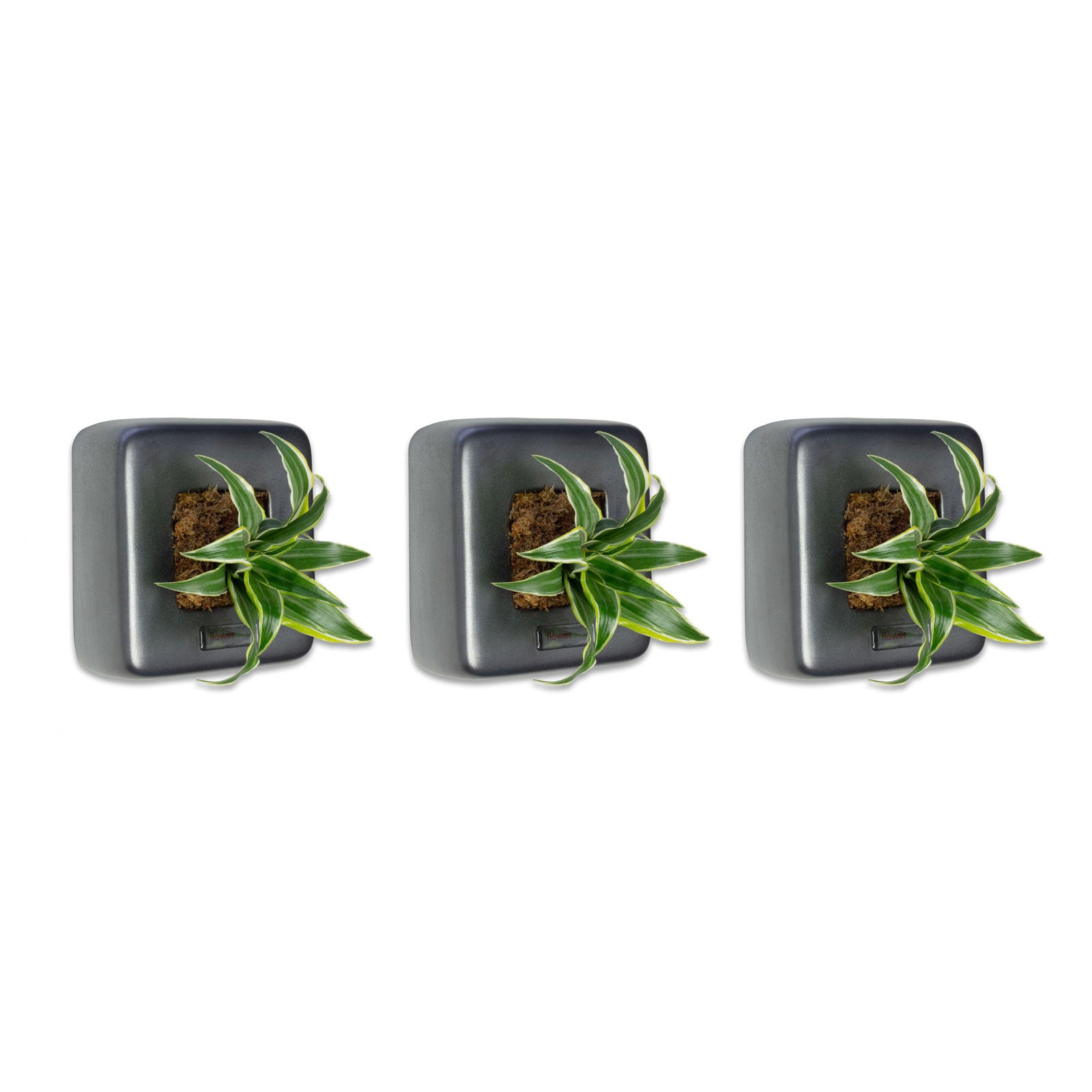 3er-Set Box 1 - anthrazit - 16x16 cm