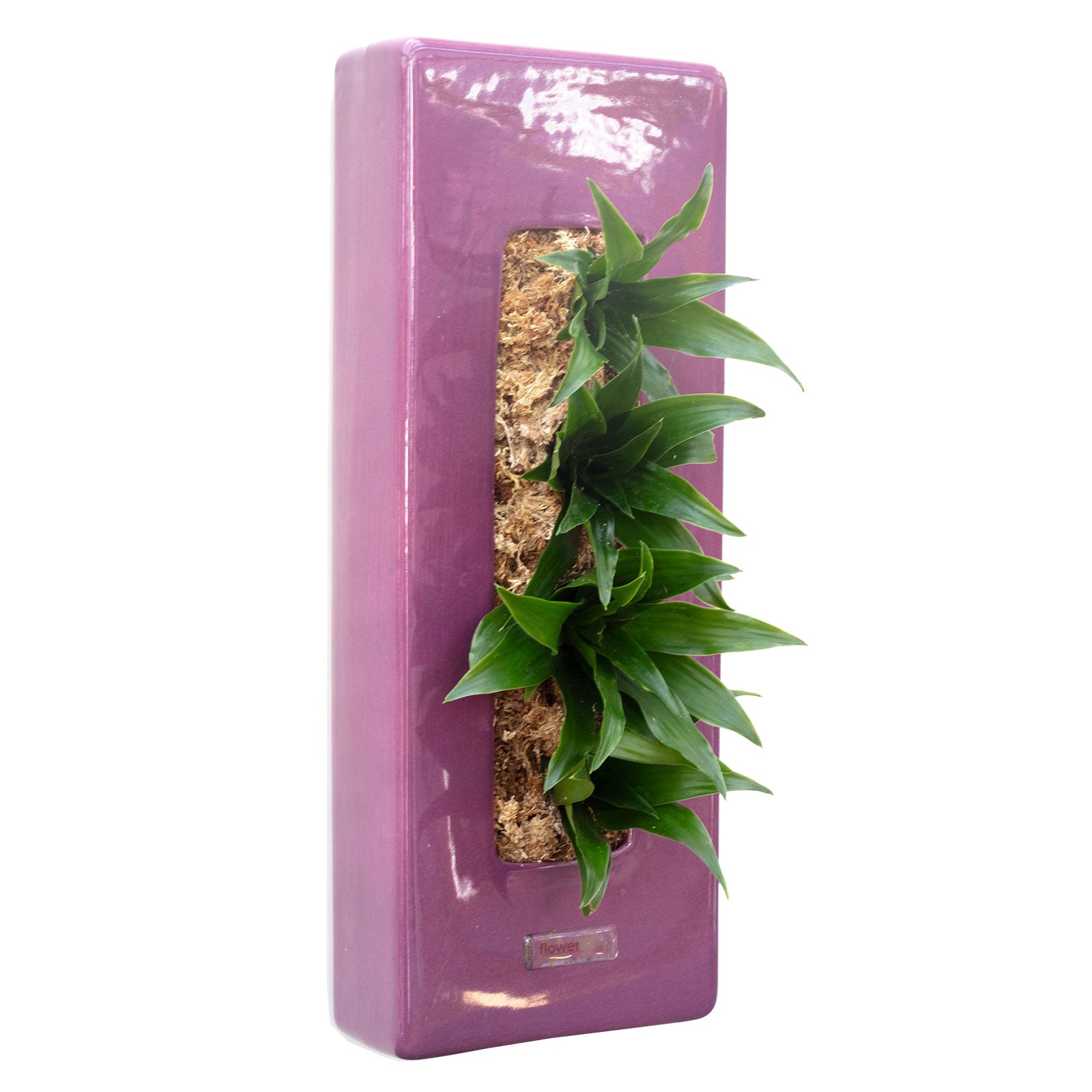 Box 40 - violet - 40x16 cm