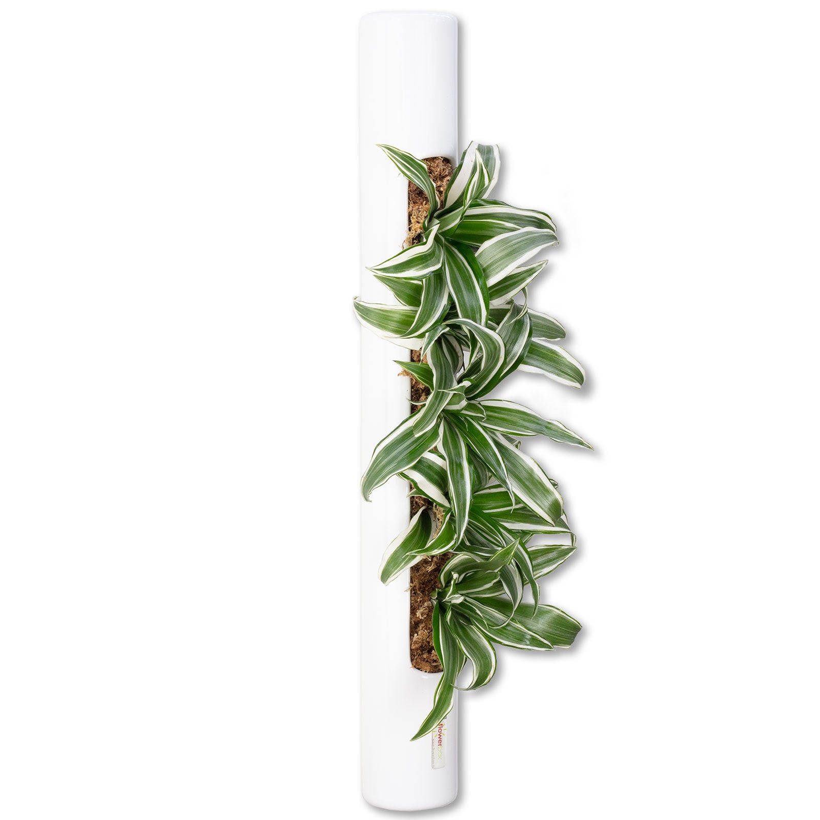 bigTube - white - 65x7.5 cm