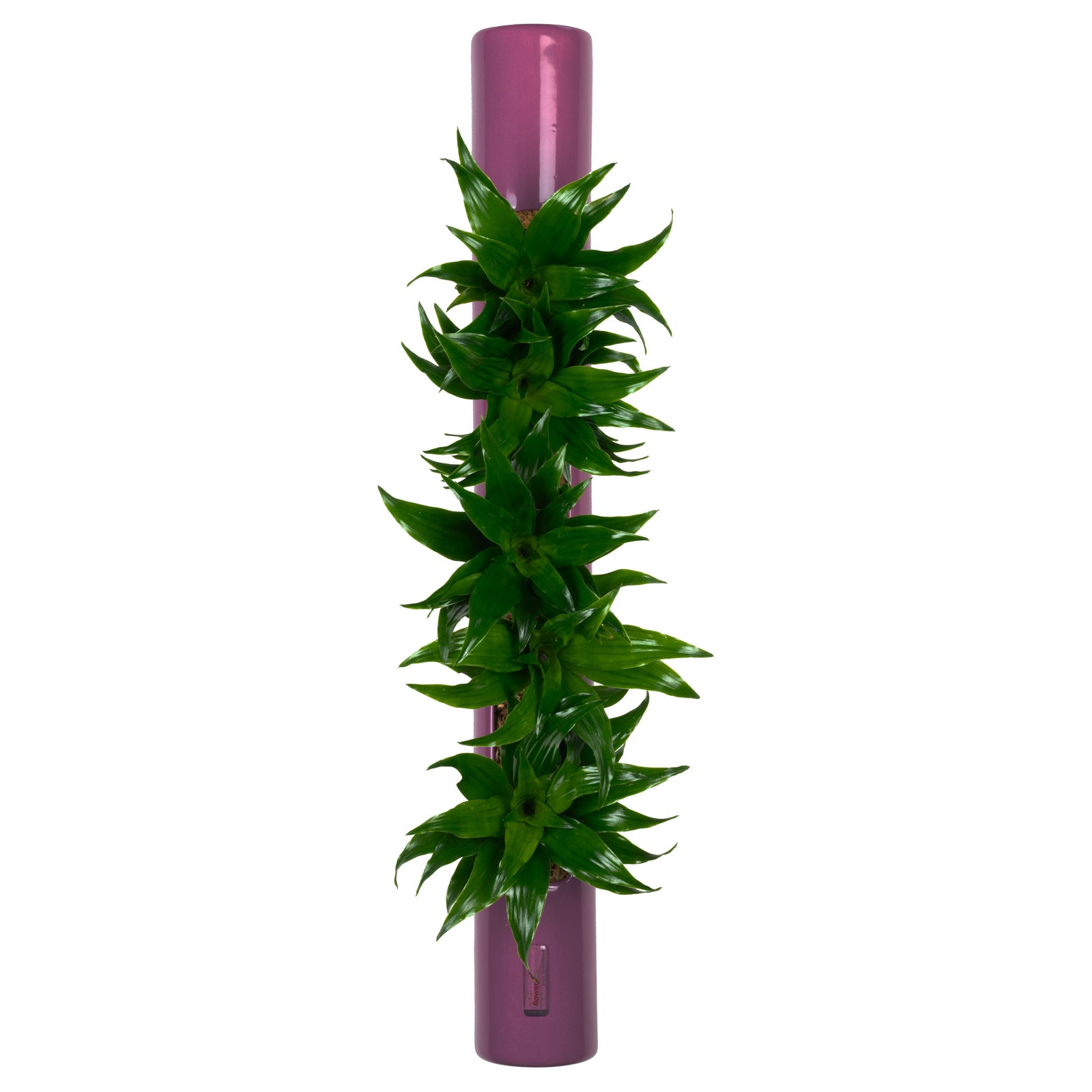 bigTube - violet - 65x7.5 cm