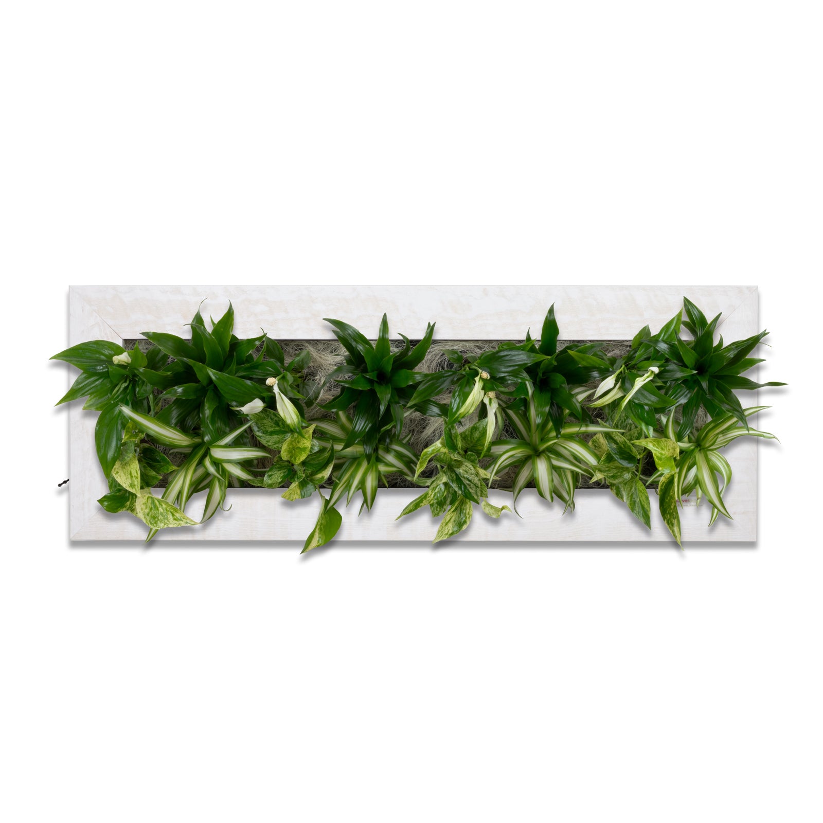 Flowerwall L - holz weiß - 89x33 cm