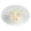 Pack of 6 handmade real white Christmas tree ornament roses