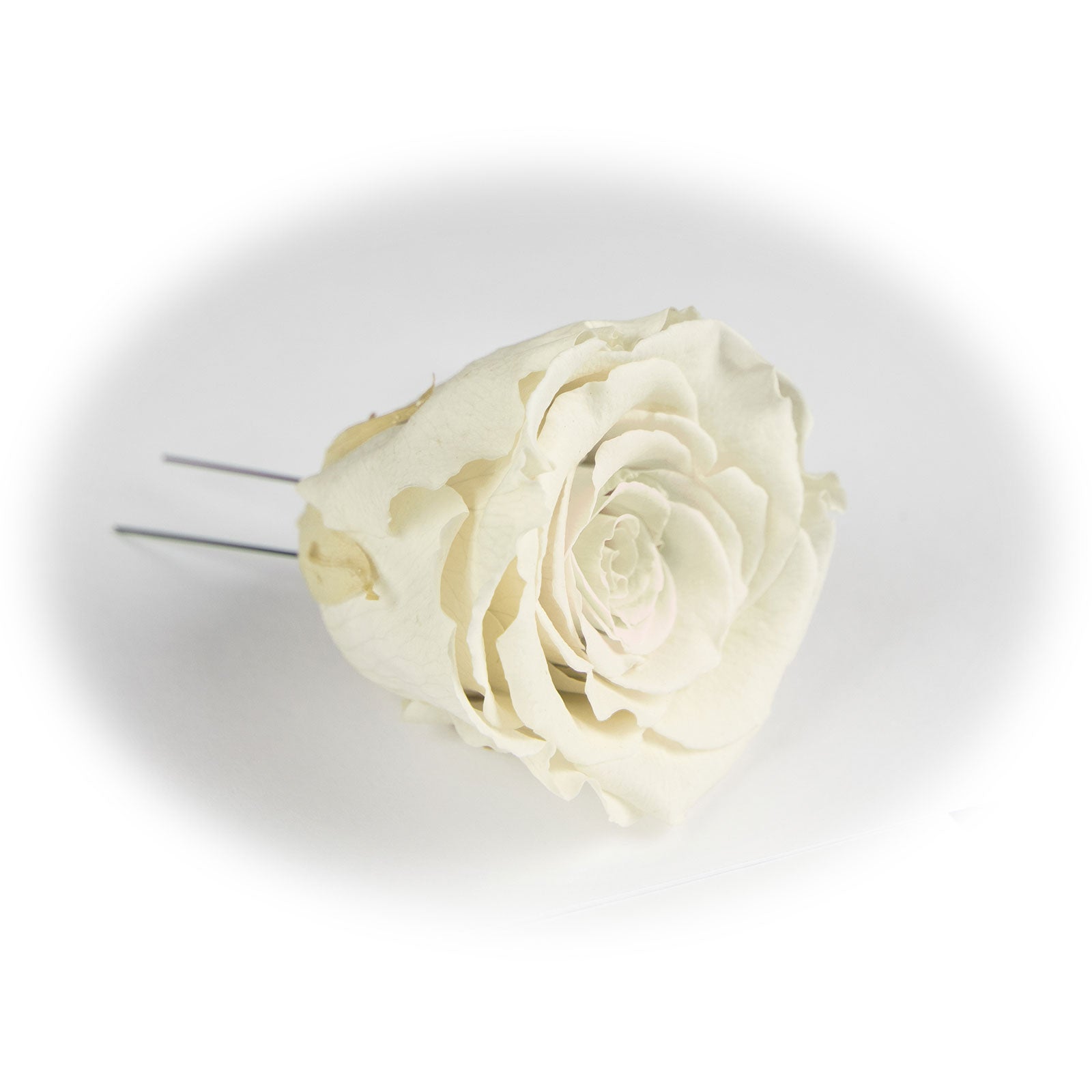 6er-Pack handgefertigte echte Christbaumschmuck-Rosen weiß