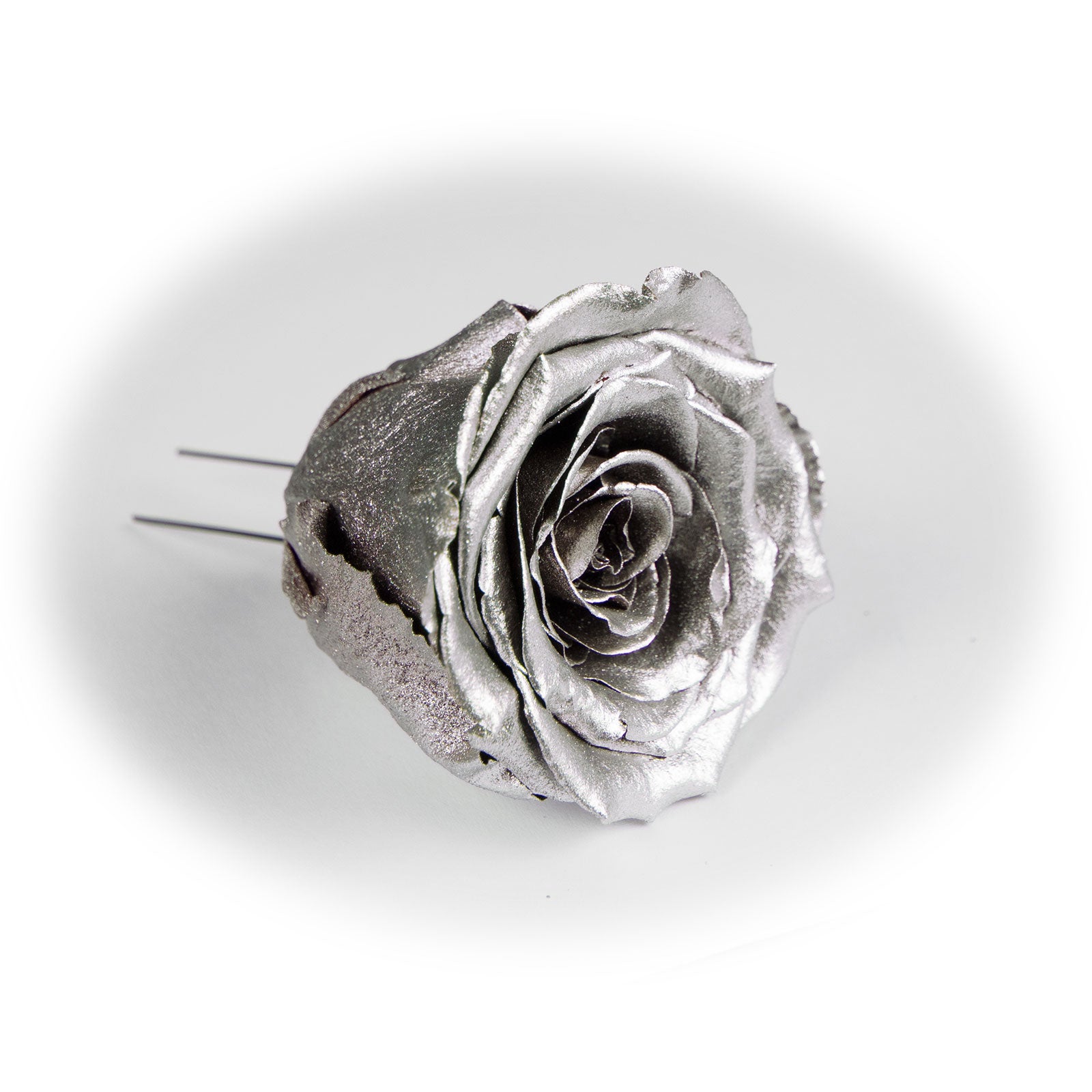 6er-Pack handgefertigte echte Christbaumschmuck-Rosen silber lackiert