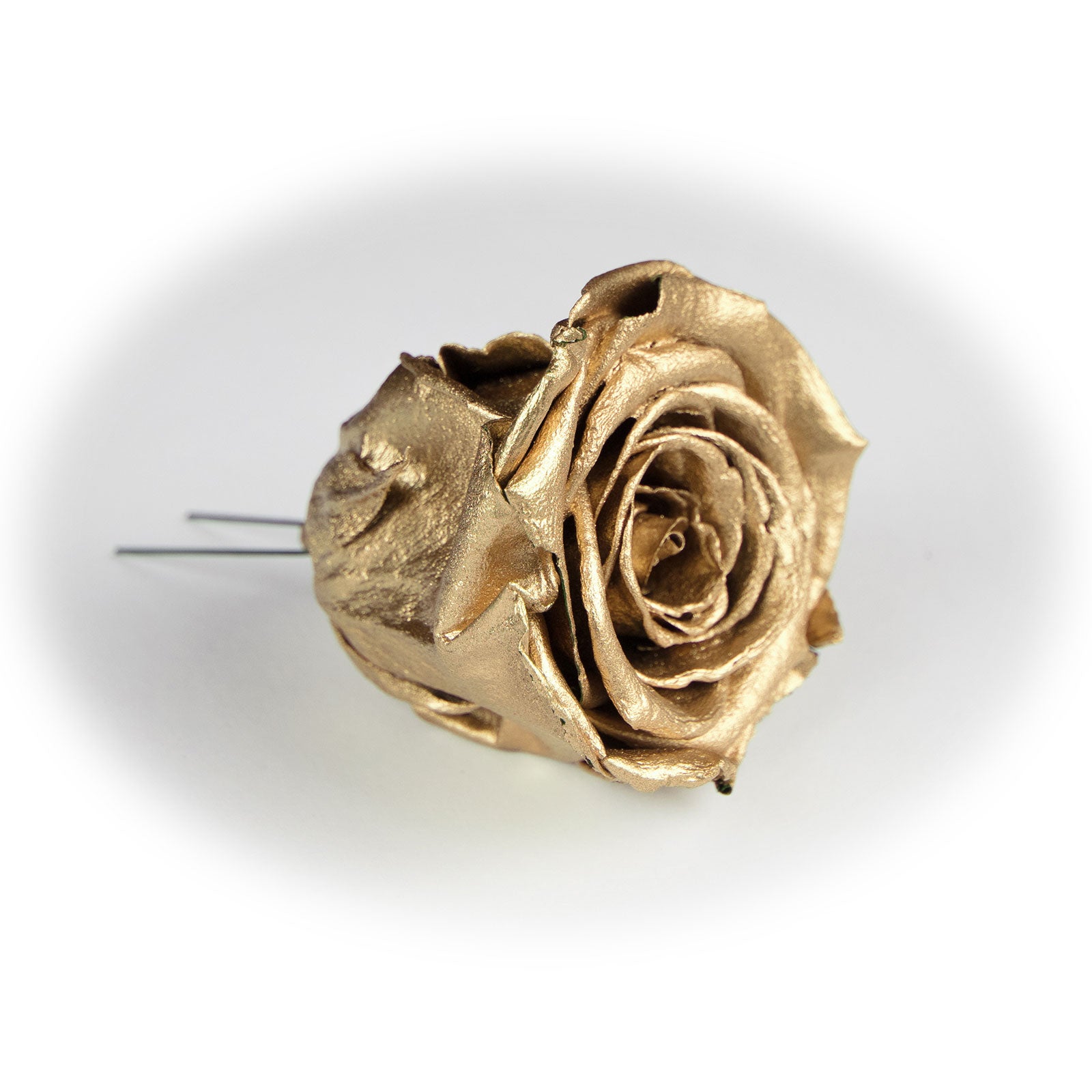 6er-Pack handgefertigte echte Christbaumschmuck-Rosen gold lackiert