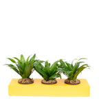 Boîte à fleurs en carton Sweet 3 - orange - 36 x 11,5 cm