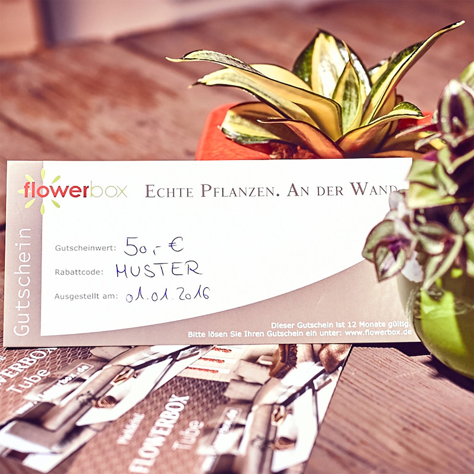 flowerbox.de voucher worth €100.00