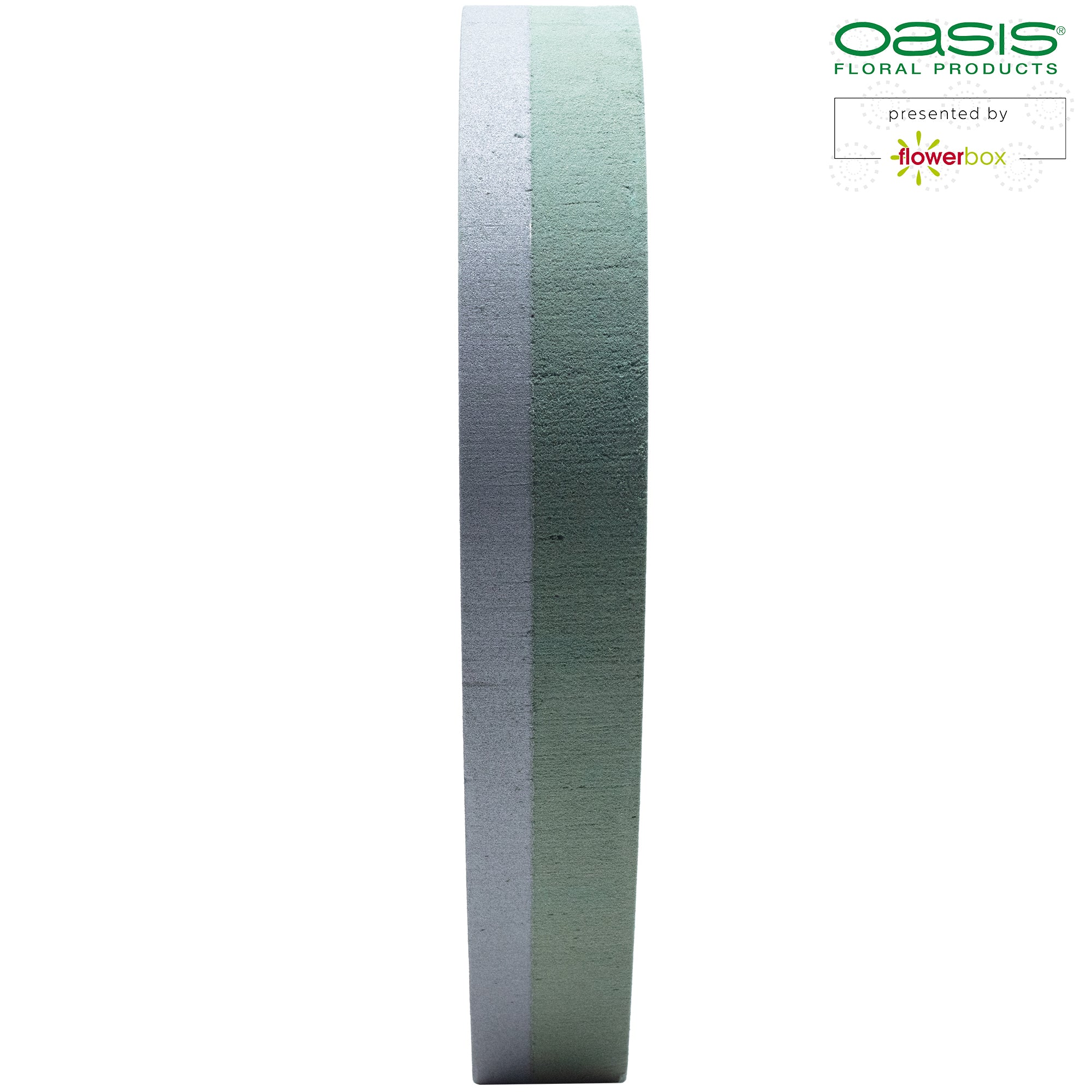 OASIS® FOAM FRAMES® Open Hearts - 36 x 37 x 6cm - 2 pcs.