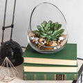 OBLIQUE CUT vase - klar - 12x12x17cm - Glas