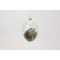 Glasei m. Federn klar/braun, 10x15 cm