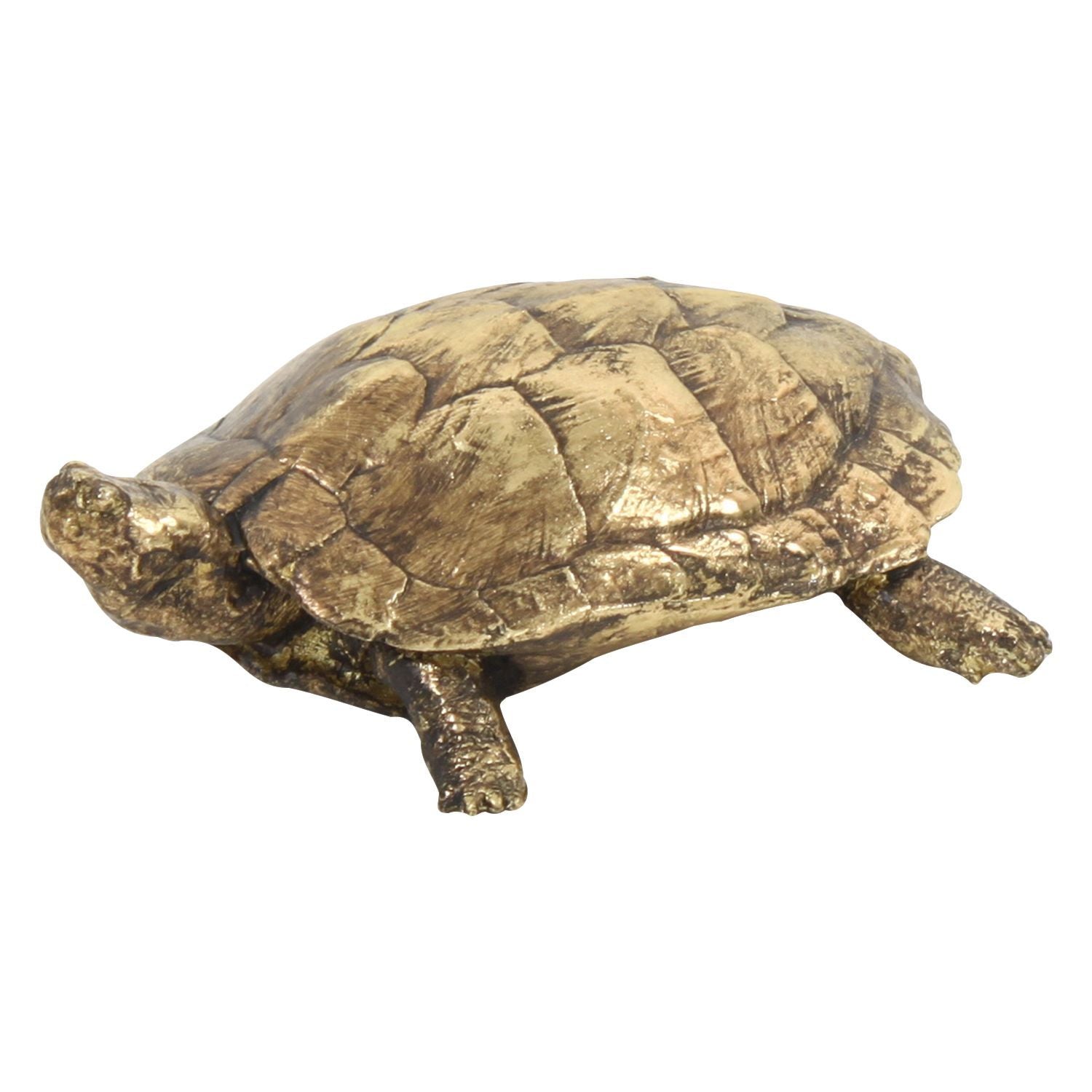 Turtle, gold polyresin, 23x20x8 cm