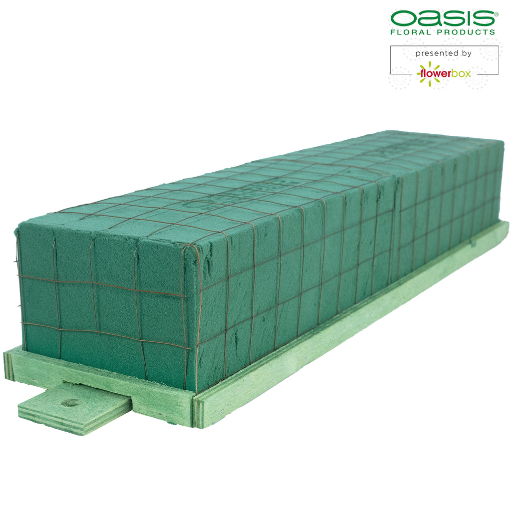 OASIS® BIOLINE® Raquette - for 2 bricks - 4 pieces