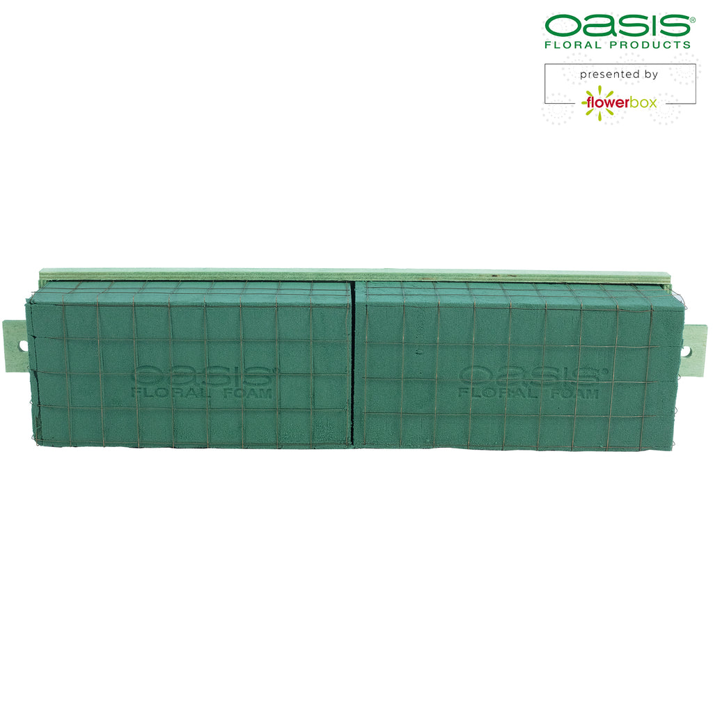 OASIS® BIOLINE® Raquette - for 2 bricks - 4 pieces