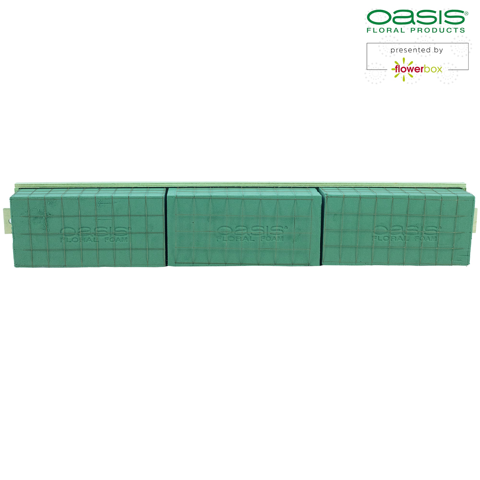 OASIS® BIOLINE® Raquette - for 3 bricks - 2 pieces