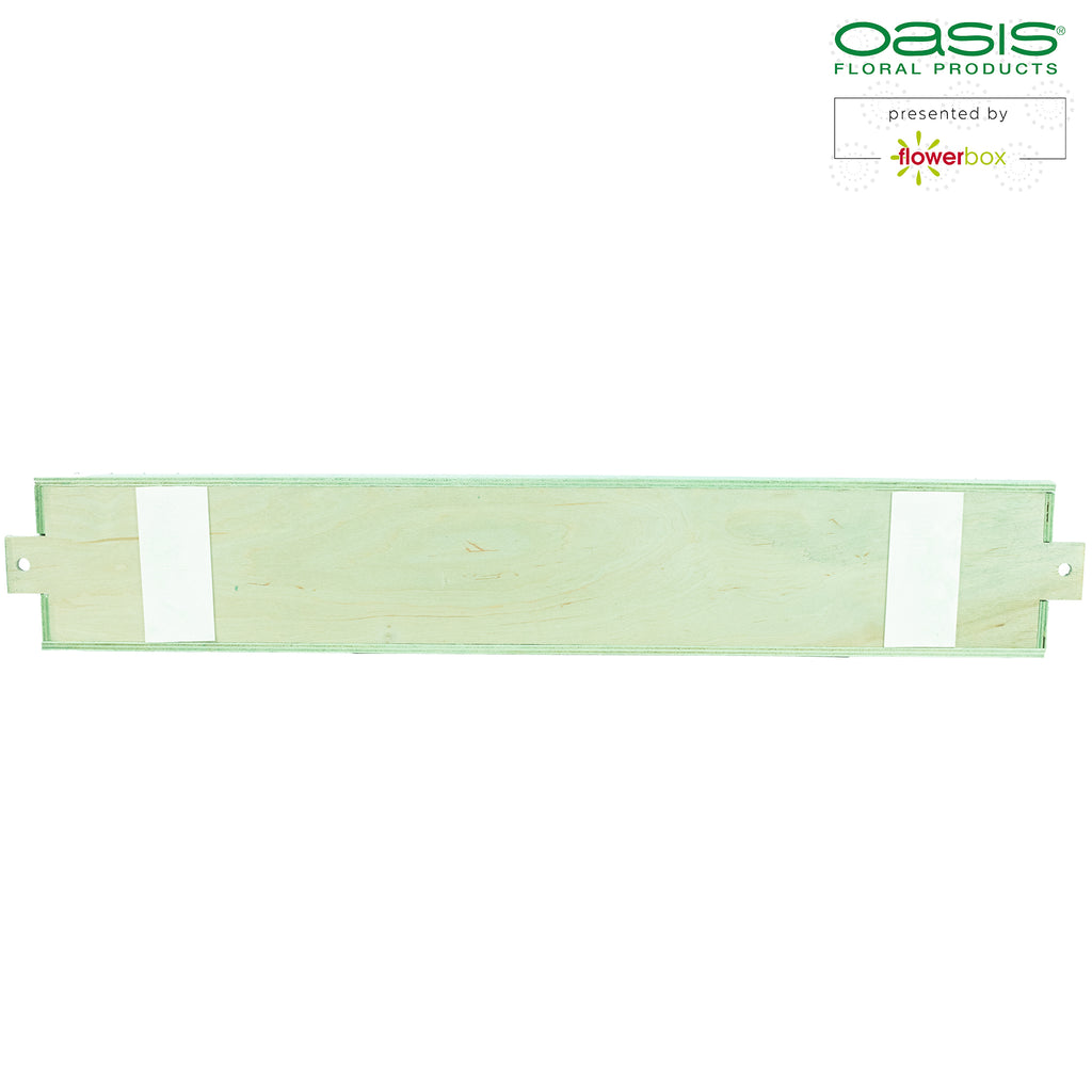 OASIS® BIOLINE® Raquette - for 3 bricks - 2 pieces