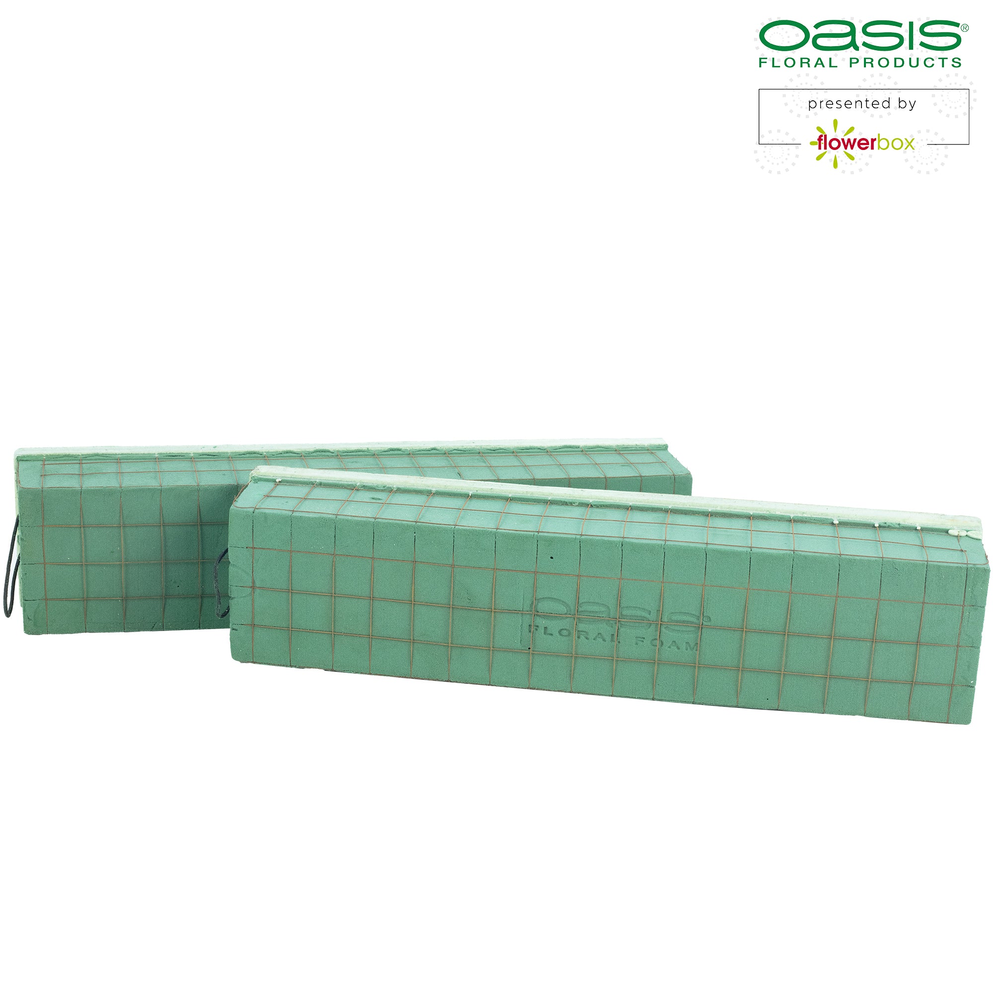 OASIS® ECObase® Raquette - 47 x 11 x 8 cm - 2 Stück