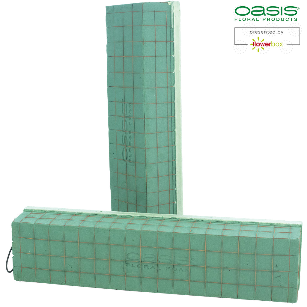 OASIS® ECObase® Raquette - 47 x 11 x 8 cm - 2 Stück