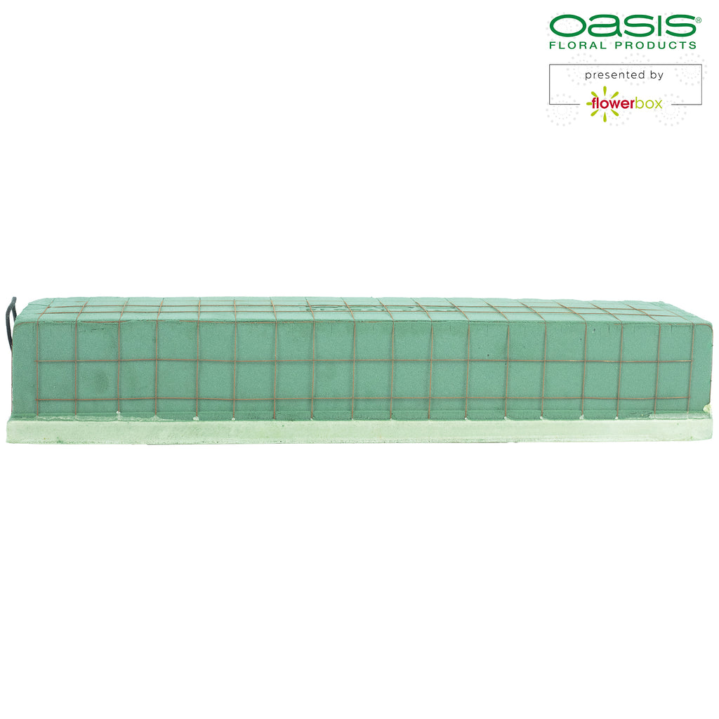 OASIS® ECObase® Raquette - 47 x 11 x 8 cm - 2 Stück