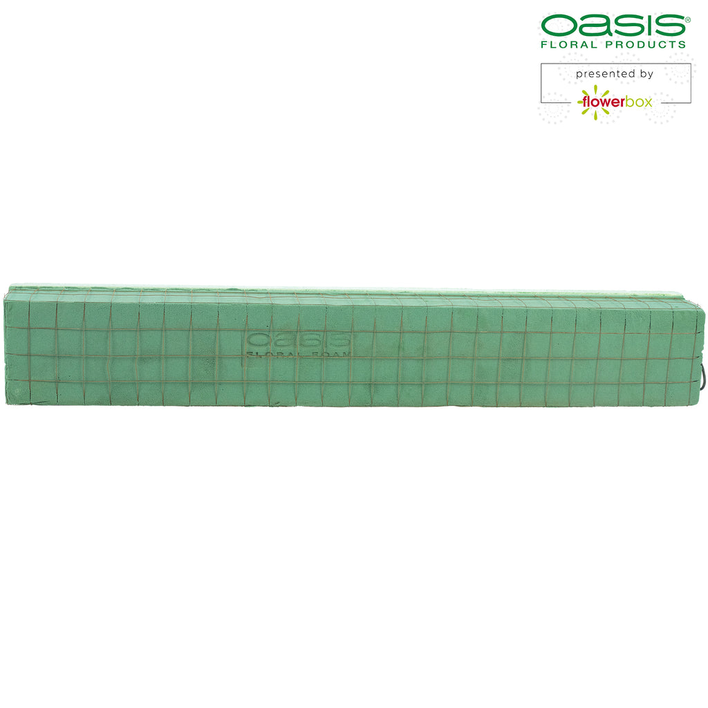 OASIS® ECObase® Raquette - 70 x 11 x 8,5 cm - 2 Stück
