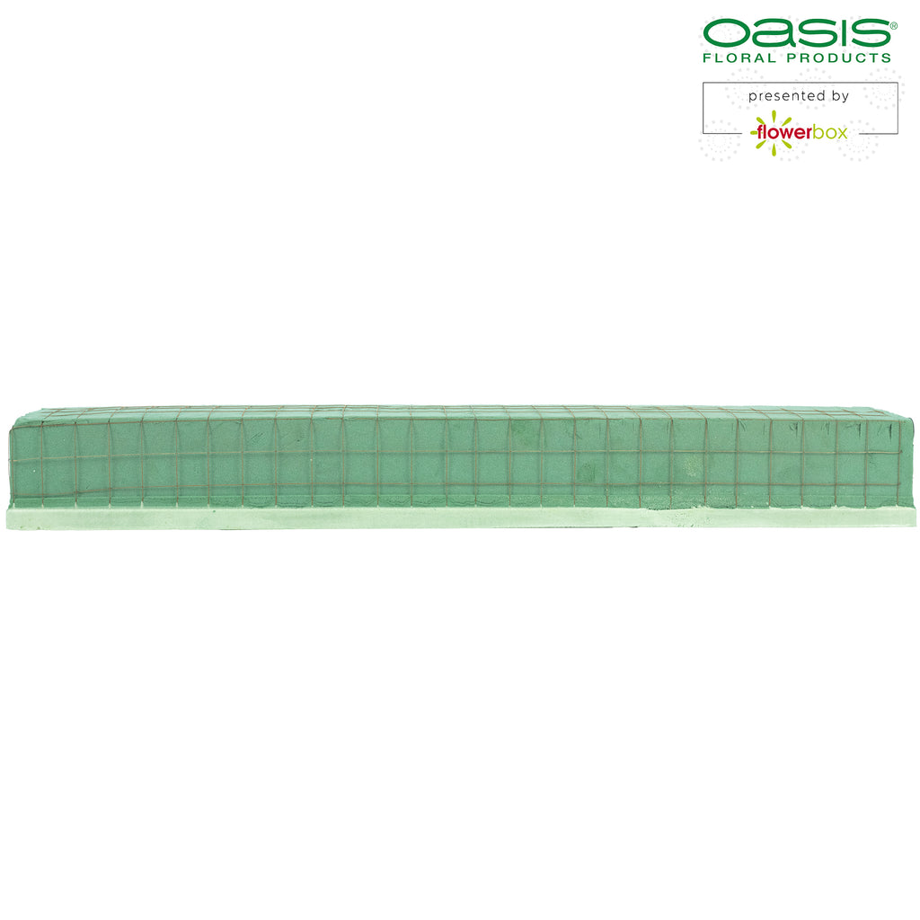 OASIS® ECObase® Raquette - 70 x 11 x 8,5 cm - 2 Stück
