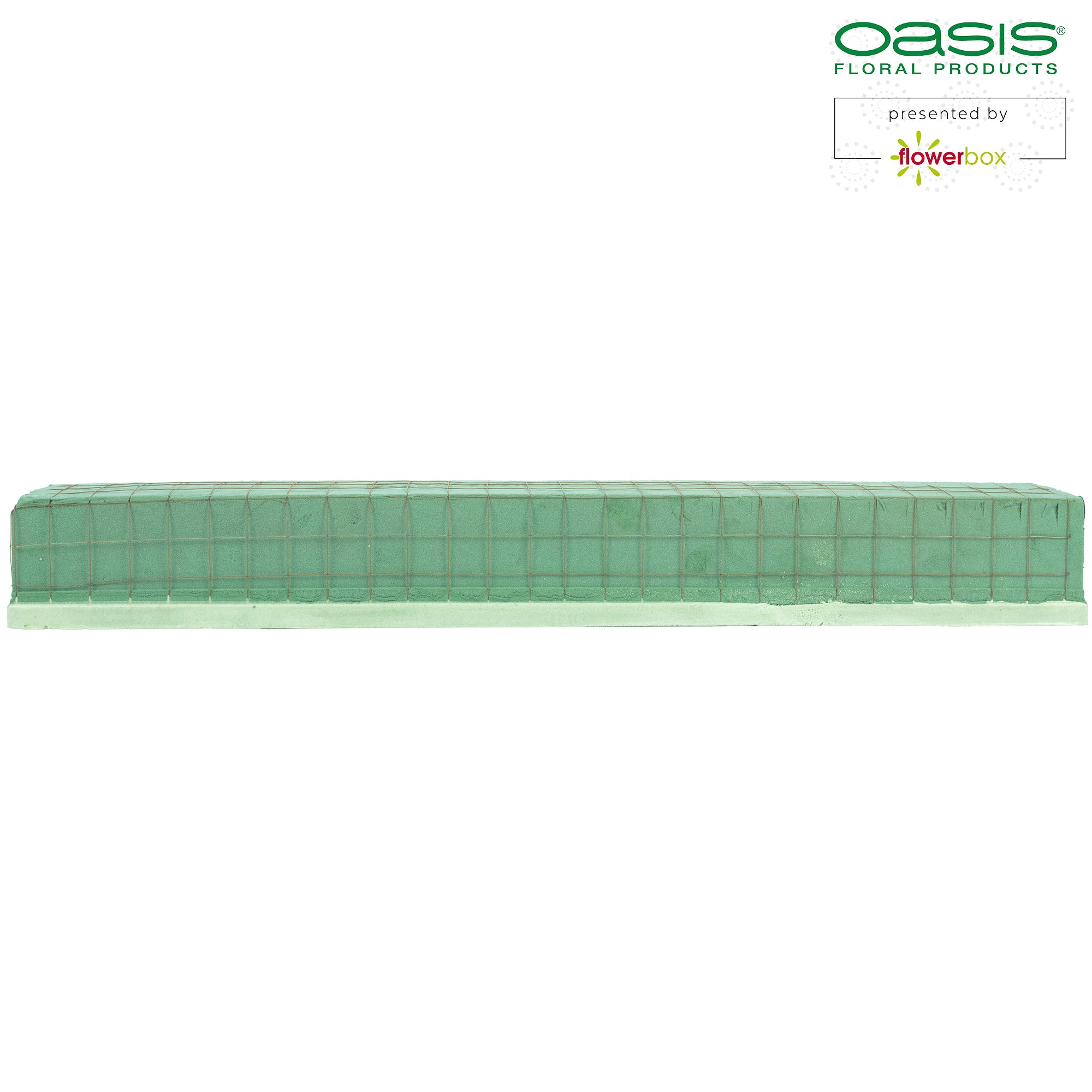 OASIS® ECObase® Raquette - 70 x 11 x 8,5 cm - 2 Stück